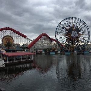 Meet your Posher, Dylan